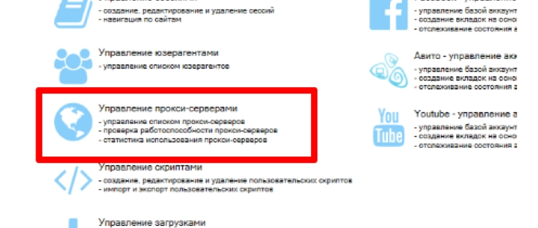 SwSpyBrowser Proxy server management