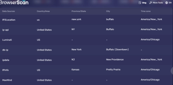BrowserScan Поиск IP-адреса