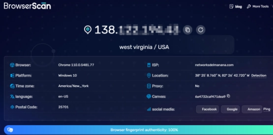 BrowserScan: basic scan results