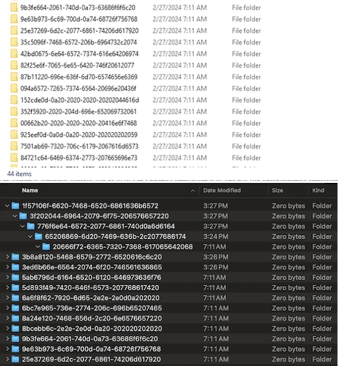 Approximate structure of the folder tree