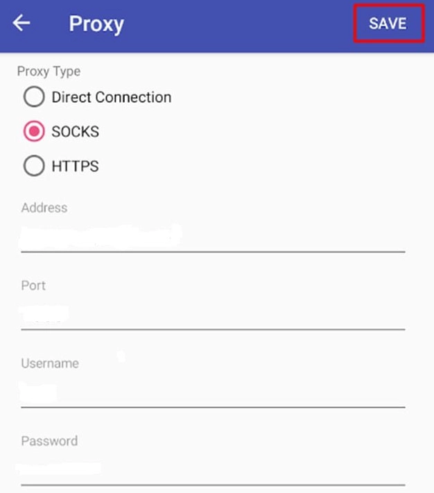 Proxifier we set the technical parameters of the proxy server